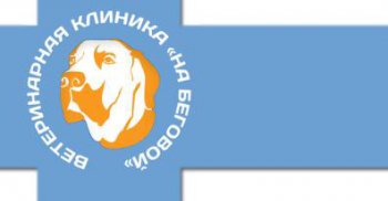 Ветеринарная клиника «На Бегов...